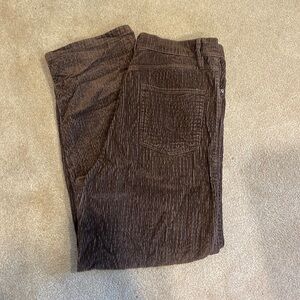Urban Outfitters BDG Size 32 Highrise Baggy Cords